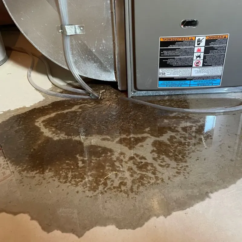 Pipe Burst and Leak Restoration in East Merrimack, NH